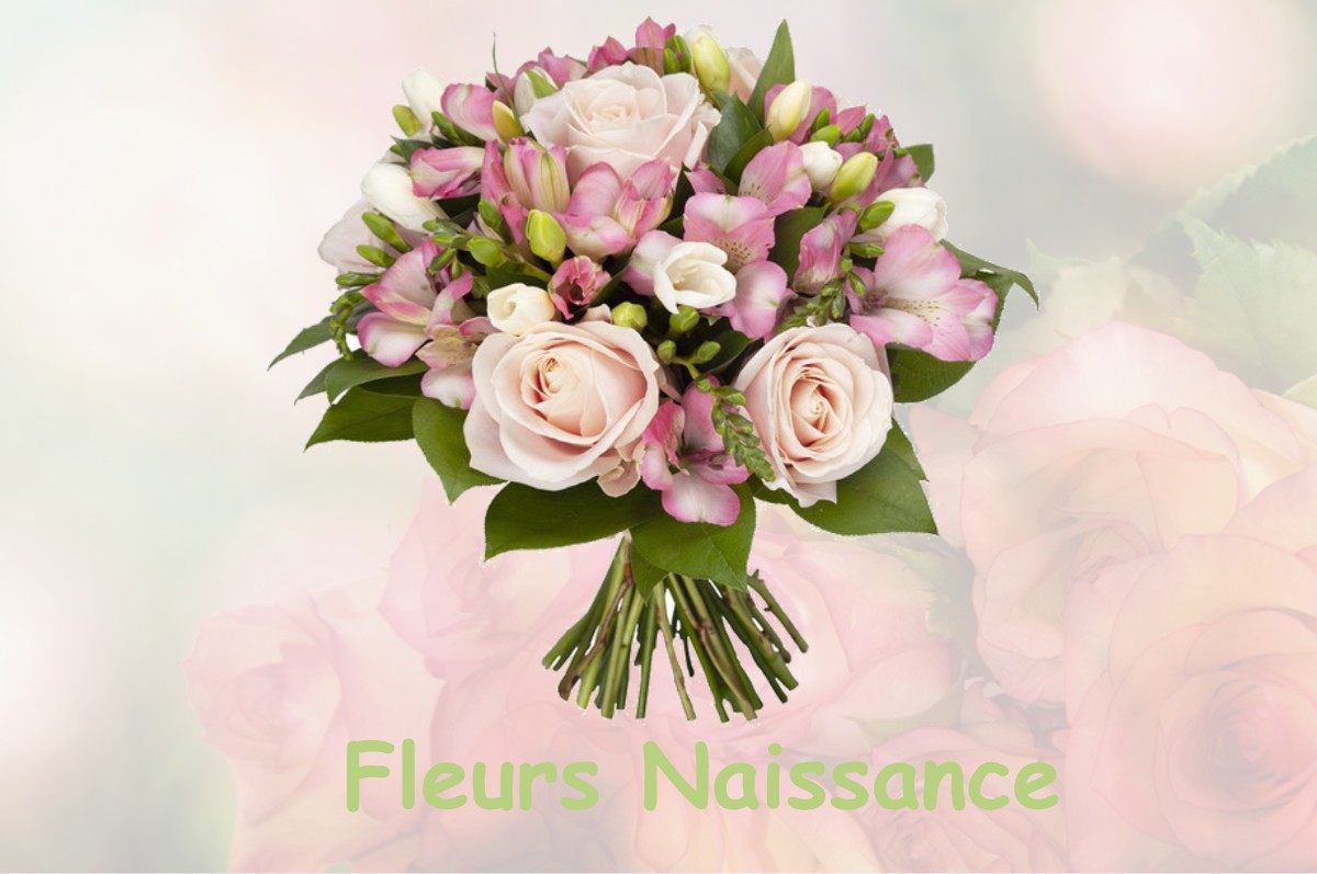 fleurs naissance LAVINCOURT