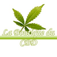 LA BOUTIQUE DU CBD LAVINCOURT 